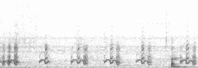 guan proměnlivý (ssp. granti) - ML67639