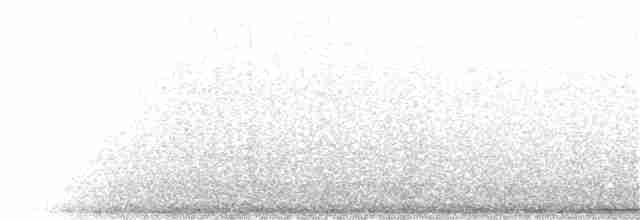 holub bledočelý - ML67647321