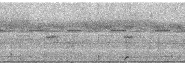 guan proměnlivý (ssp. granti) - ML67656