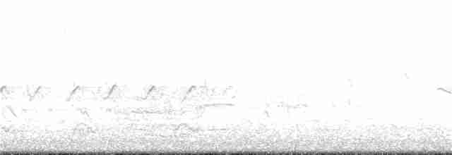 Al Kanatlı Karatavuk [phoeniceus grubu] - ML67679471