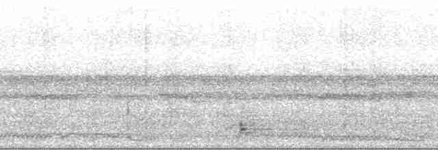 Band-tailed Guan - ML67682