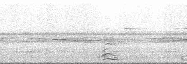 Band-tailed Guan - ML67697