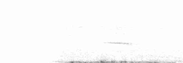 Tschudi's Nightjar - ML67709651