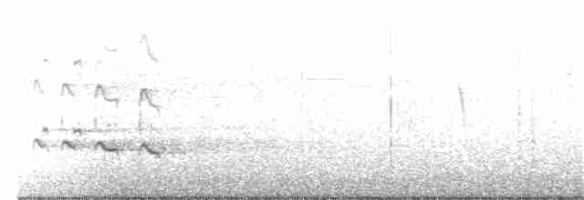 Kuliska hankahori handia - ML67725521