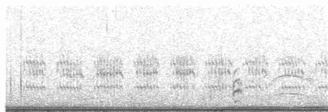 Common Tern - ML67884381
