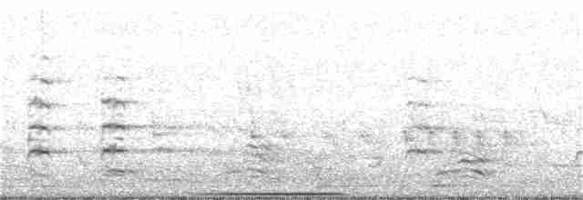 holub bronzovokřídlý - ML67911941
