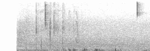 Gray-hooded Sierra Finch (minor) - ML67940341