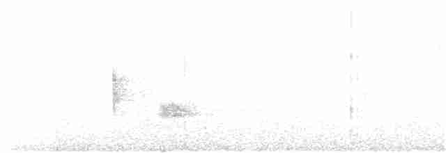 Kara Kanatlı Piranga - ML67952631