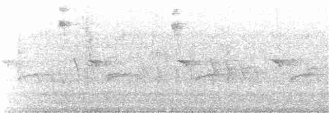Common Yellowthroat - ML67995101