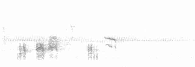 Clamorous Reed Warbler - ML68090331