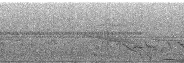 holub okrový - ML68102