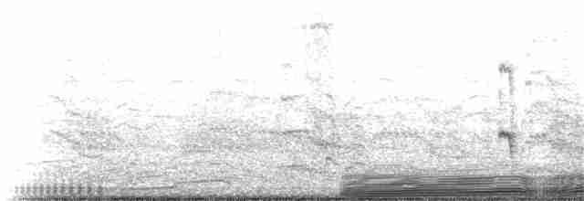 Atlantic Puffin - ML68132801