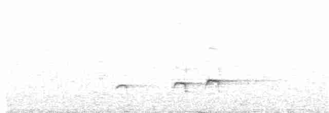Мурашниця ураоанська - ML68154901