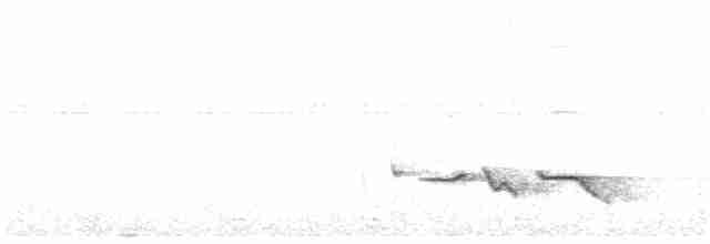 Kara Gagalı Koca Vireo - ML68189811