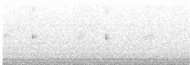 Scissor-tailed Nightjar - ML68286191