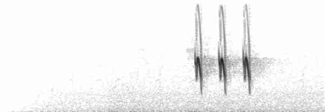 "Шишкар ялиновий (Western Hemlock, або тип 3)" - ML68287331