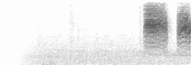Kara Kuyruklu Bitkuşu - ML68304091