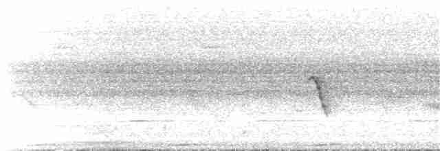 Окулярник ранонгійський - ML68305651