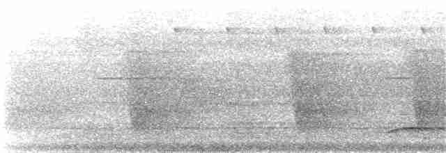 Oriole Whistler - ML68314381