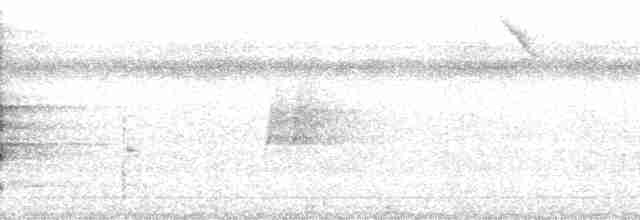 Conure versicolore (picta) - ML68399