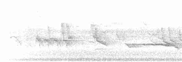 Oriole Whistler - ML68448081