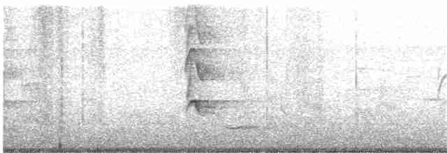 Kara Karınlı Islıkçı Ördek - ML68493831