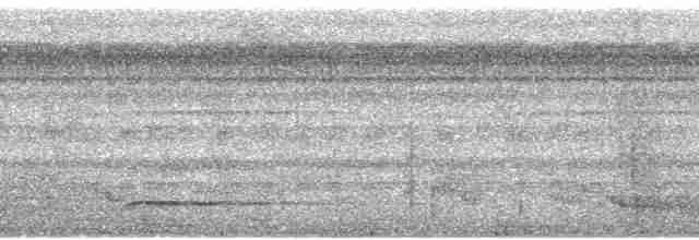 Çift Şeritli Taçlı Tiran - ML68494