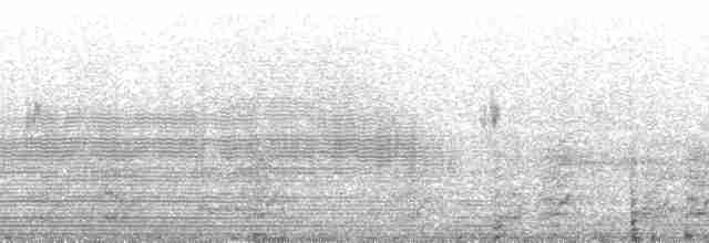 Красноголовая которра - ML68601