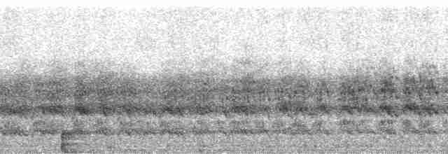 Красноголовая которра - ML68602