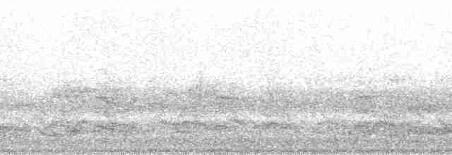 Красноголовая которра - ML68603