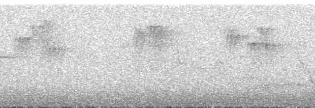 Мухоловка гімалайська - ML68744