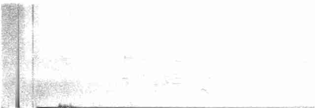 White-crested Elaenia - ML68776811