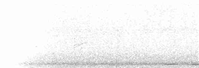 Eurasian Collared-Dove - ML68921271