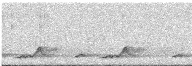 Schwarzkehl-Nachtschwalbe - ML68923371