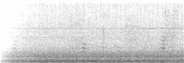 Weißbrustkleiber - ML68924201