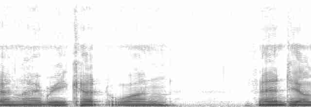 Веерохвостая корольковка - ML68952