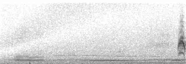 Büyük Kiskadi Tiranı - ML69010211