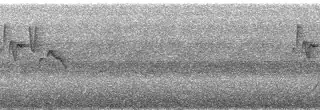 Gray-hooded Warbler - ML69014