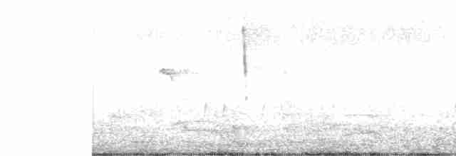 Common Kingfisher - ML69018661