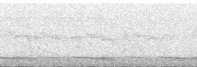 Gray-throated Babbler - ML69029