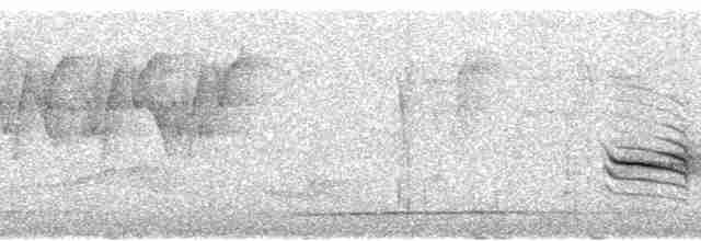 Пестрогорлая юхина - ML69051
