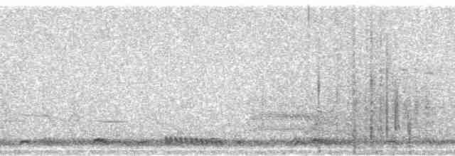 Чагра буроголова - ML69137