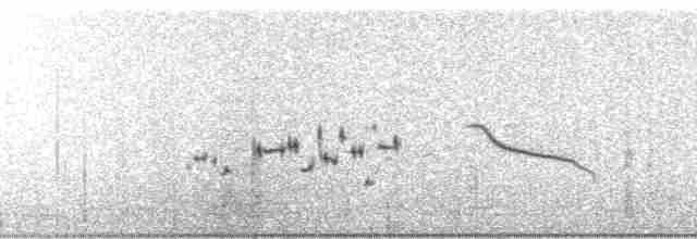 Большеклювый жаворонок - ML69194
