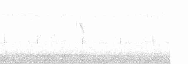 Берингийская жёлтая трясогузка - ML69231001