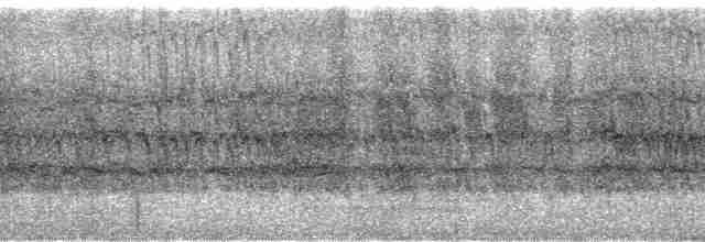 Тіріка синьокрилий - ML69234