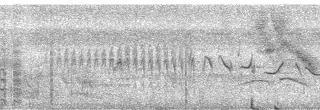 Kestane Karınlı Koca Tohumcul - ML69235