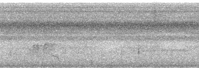 Little Tinamou - ML69237