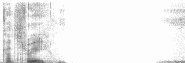 Острохвостый ибис - ML69244