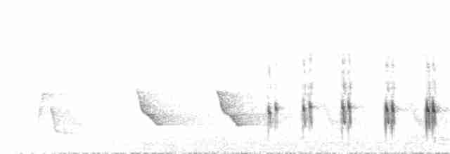 Russet-crowned Crake - ML69257821