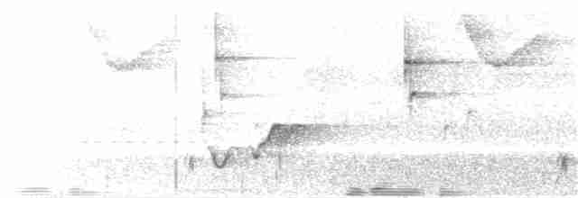 Тріщук сіроволий (підвид bangsi) - ML69328851